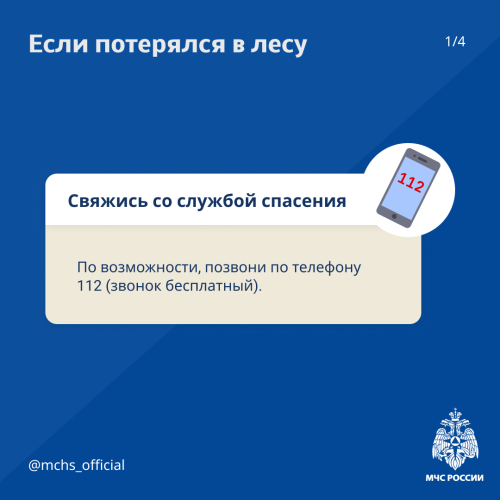 Что делать если потерялся в лесу?